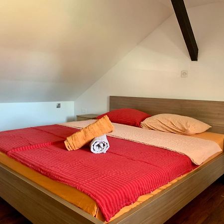 ホテル Peachy House Bezigrad リュブリャナ エクステリア 写真